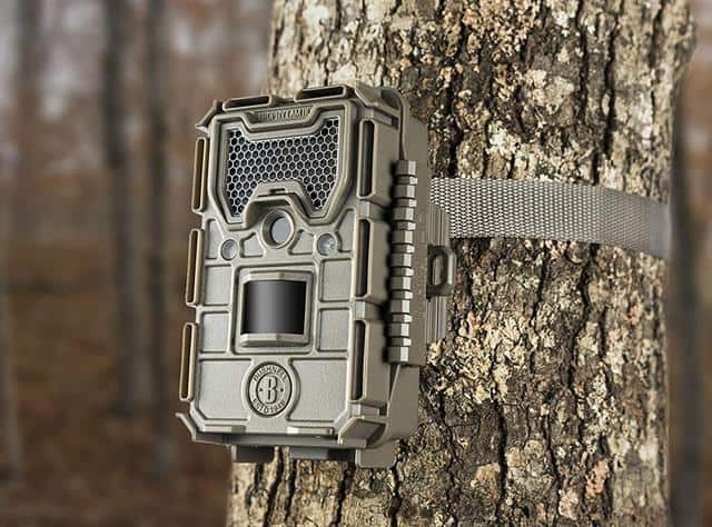 Bushnell Trophy Cam Trail Camera Review