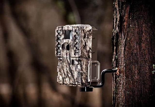 How To Setup And Use Trail Cameras Tips