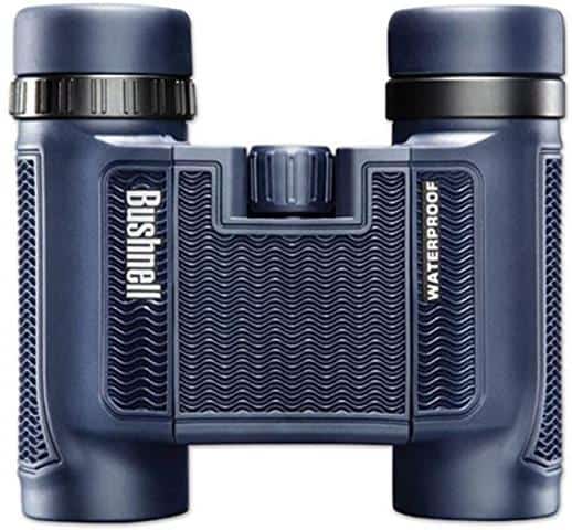 Top 10 best compact binoculars