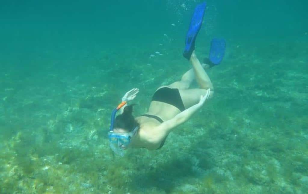 Underwater Photography Dive