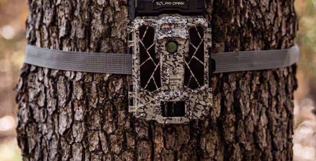 Choosing the Right Motion-Activated Wildlife Camera