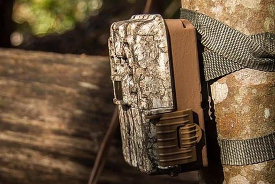 The Ultimate Trail Camera Buyers Guide