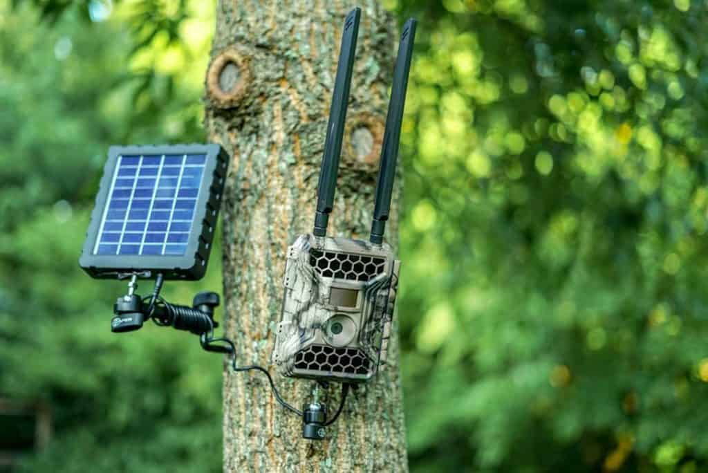 7 Best Wireless Trail Cameras In 2024 ( Buying Guide ) OpticsMax