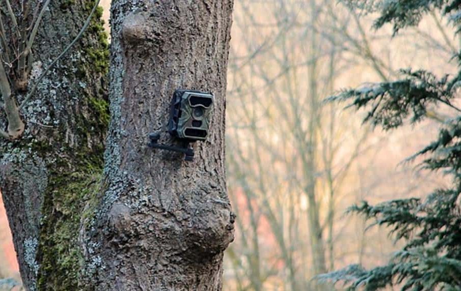 Moultrie M880 Review