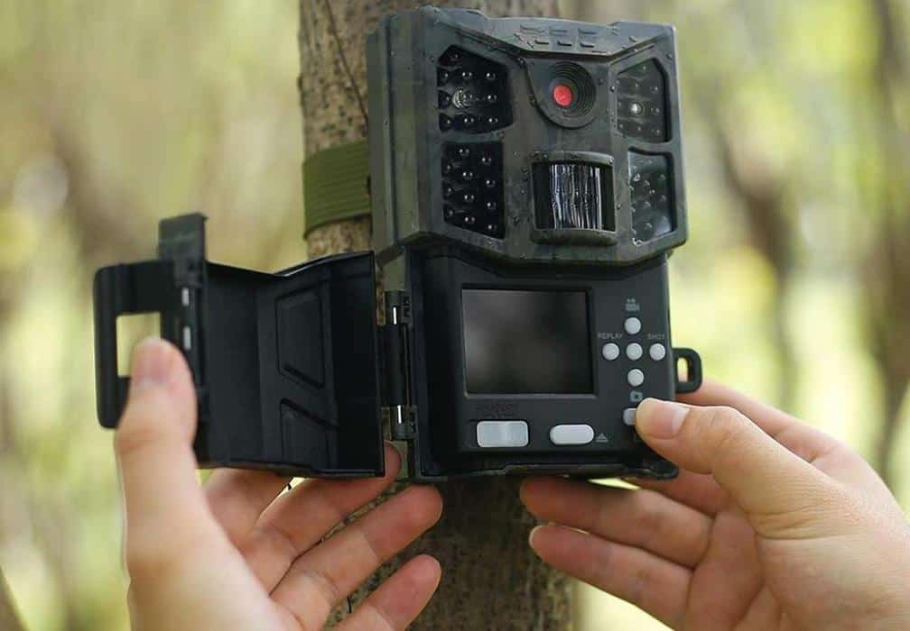 Best Wildlife Camera 2021 Top 5 Best Motion activated Wildlife Cameras In 2020 (Fail proof 