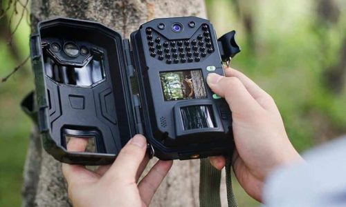 Best Trail Cameras For Security 2020