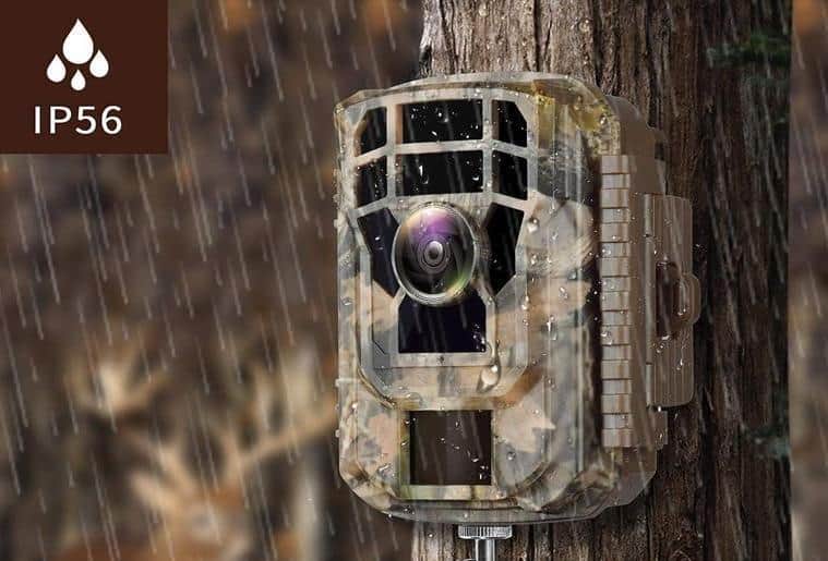 You are currently viewing How Do Trail Cameras Work?