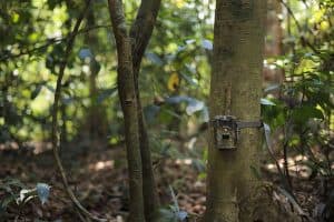 Read more about the article How To Aim A Trail Camera?