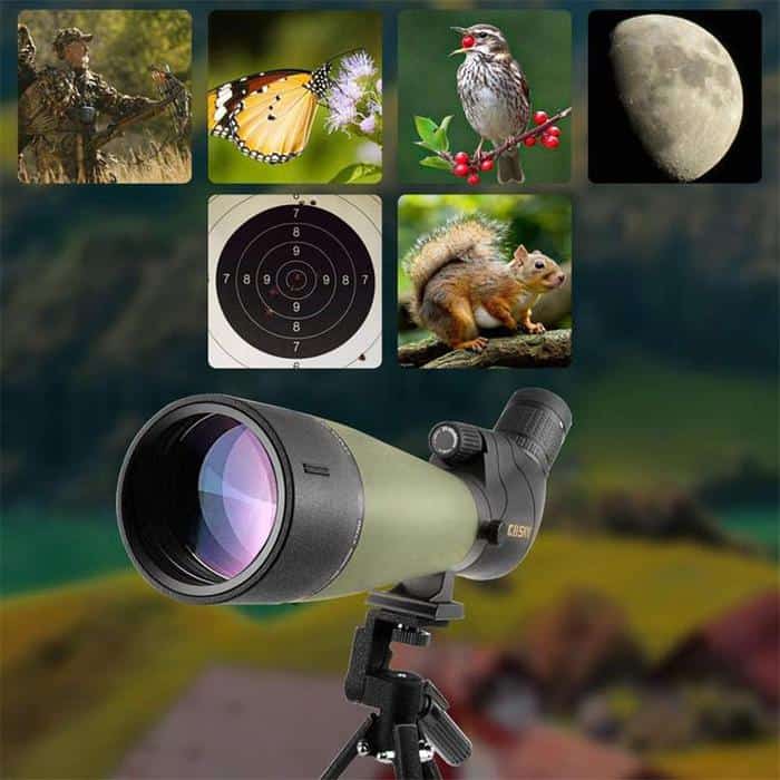 Spotting Scopes Vs. Binoculars OpticsMax