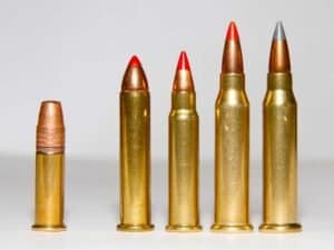 Read more about the article 17 Hmr Vs 17 Hornet: Ultimate Small Game Showdown