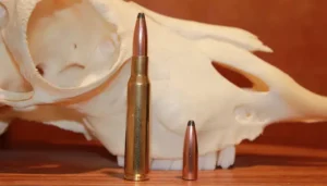 Read more about the article 270 Winchester Vs 30-06 : Unraveling the Power Play