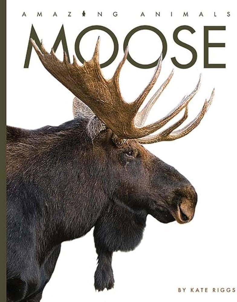 Are Moose a Type of Deer