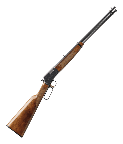 Read more about the article Browning BL 22 Problems: Quick Fixes and Tips