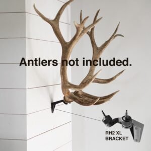 Read more about the article How to Mount Deer Antlers Without Skull: A DIY Guide