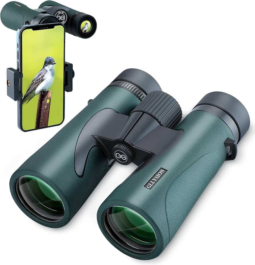 You are currently viewing Swarovski Binoculars Review: A Crystal Clear Choice