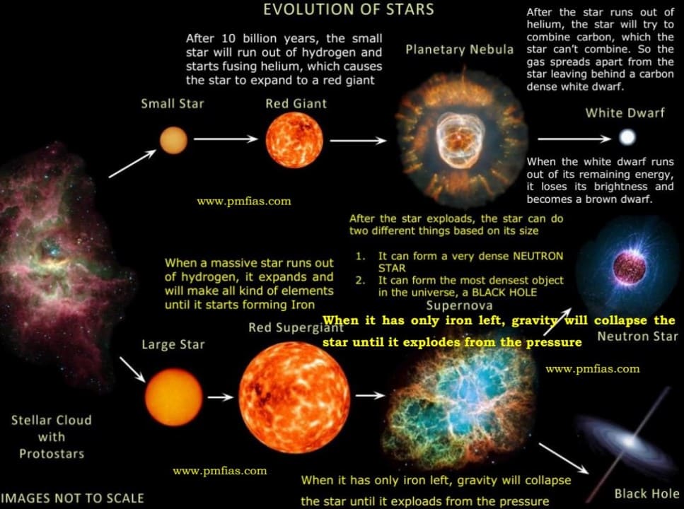 Black Hole Vs Hypernova